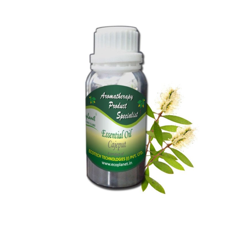 Essential Oil Cajeput 100 g