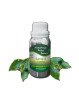 Essential Oil Camphor 100 g