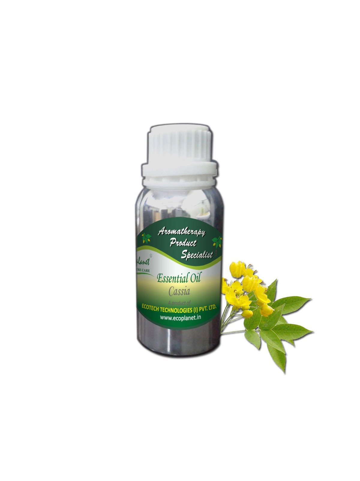 Essential Oil Cassia 100 g