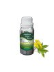Essential Oil Cassia 100 g