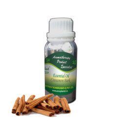 Essential Oil Cinnamon Bark 50 g
