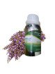 Essential OIl Clary Sage 50 g