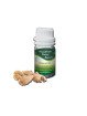 Essential Oil Ginger 25 g
