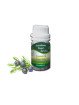 Essential Oil Juniper Berry 50 g