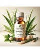 EcoPlanet Lemongrass Essential Oil - 25ml: Pure and Natural Wellness