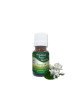 Essential Oil Mogra 1 g