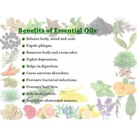 Essential Oil Lotus Absolute 1 g