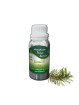 Essential Oil Pine 100 g