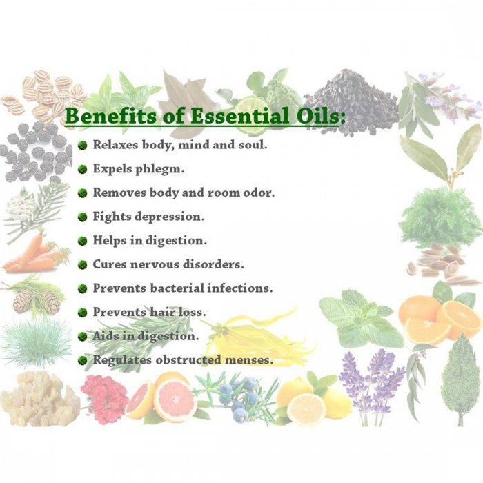 EcoPlanet Pure Peppermint Essential Oil: Natural Refreshment & Wellness � 25 ml