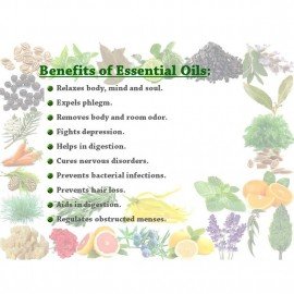 ecoplanet Rosemary Essential Oil ( 25 ml )