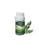 Essential Oil Curry Leaf 25g