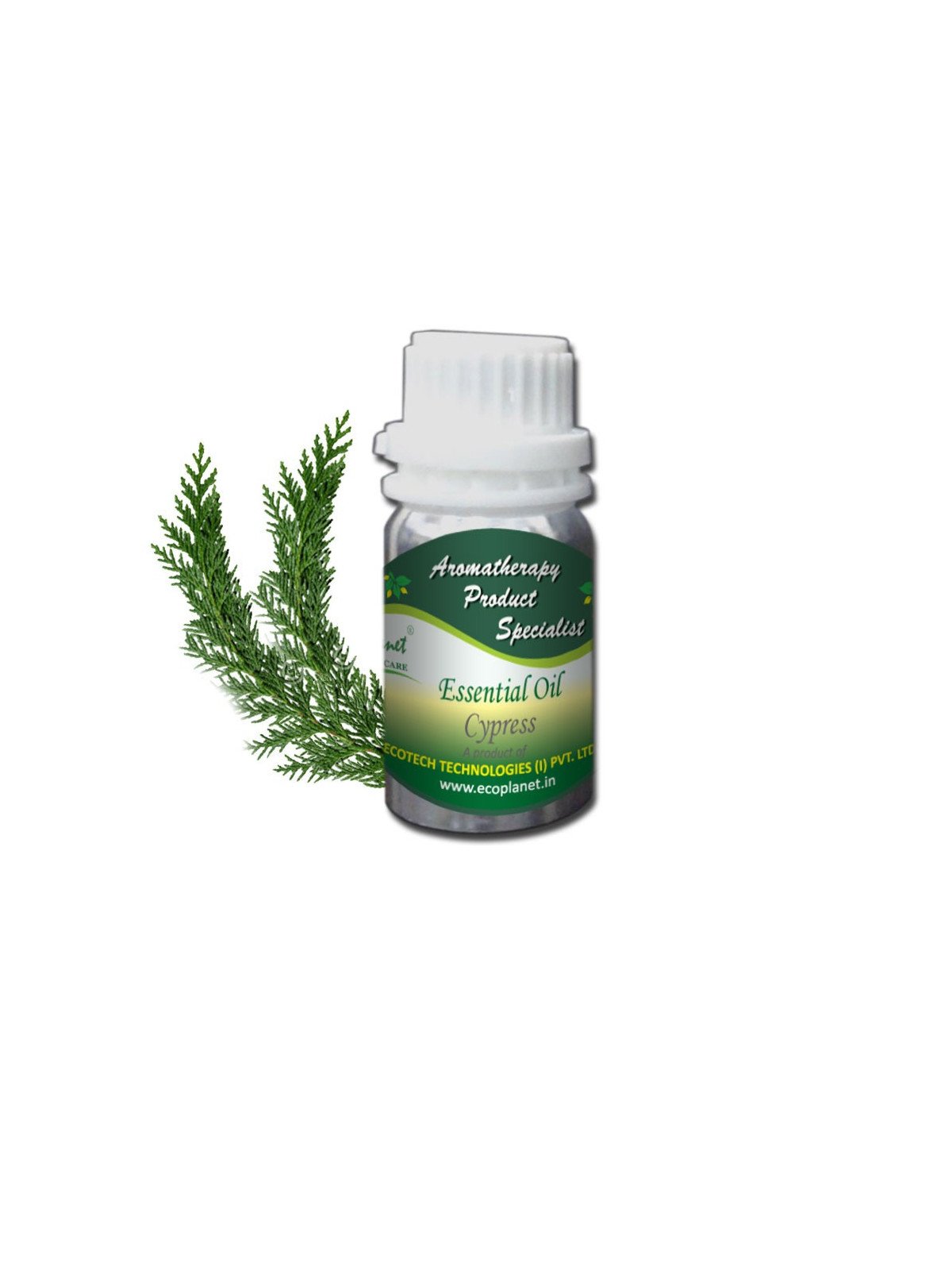 Essential Oil Cypress 50 g