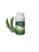 Essential Oil Cypress 50 g