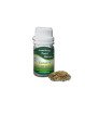 Essential oil Dill Seed 50 g