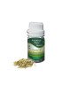 Essential Oil Fennel Seed  50 g