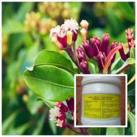 ecoplanet comforting clove balm