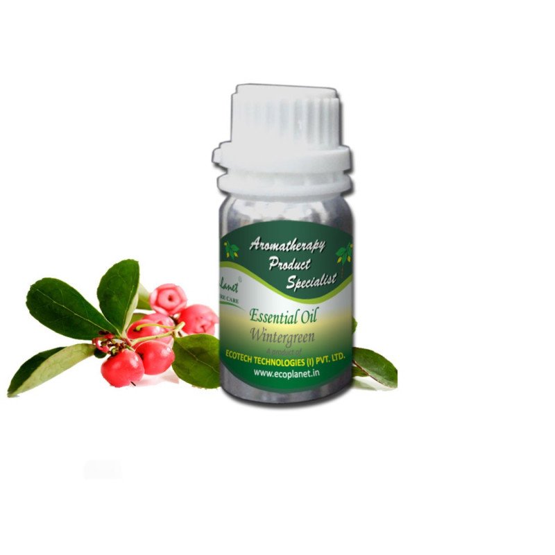 Essential Oil Wintergreen 50 g