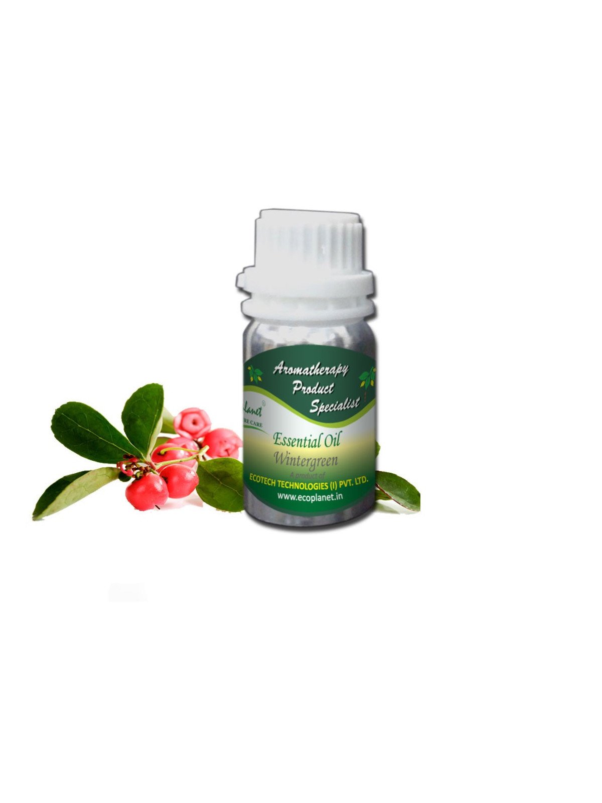 Essential Oil Wintergreen 50 g