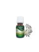 Essential Oil Tuberose Absolute 1 g