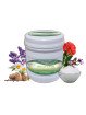 Aromatherapy Cream With Oily Skin Rejuvenation Properties
