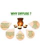 floral-bliss-diffuser-oil-infographics