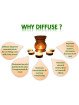 headache-relief-diffuser-oil-infographics