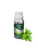 Essential Oil Basil (sweet) - 100 g