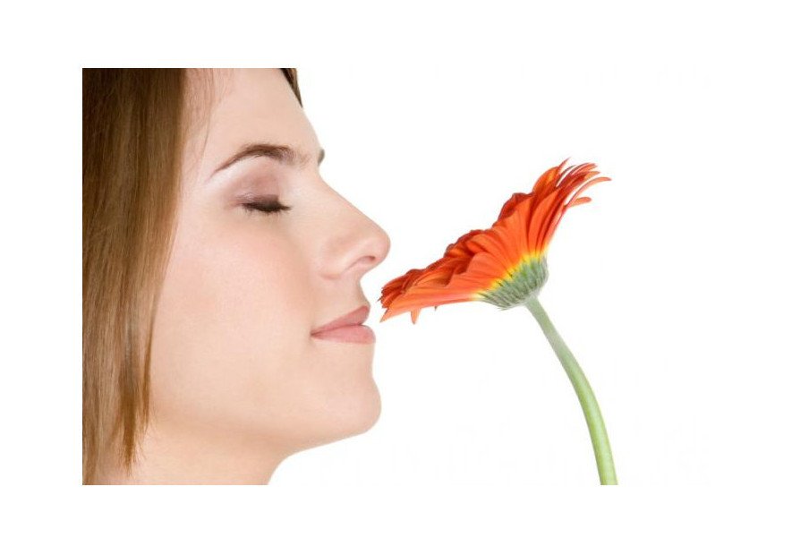 Exploring the Connection Between Olfaction and Wellness