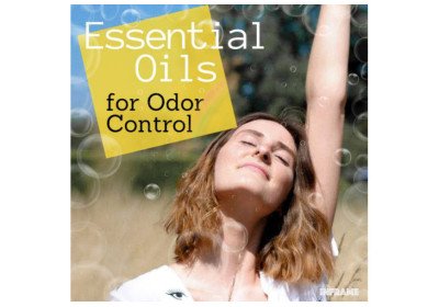 Revitalize Your Life and Work with Aromatherapy: Banish Rainy Day Blues and Body Odor