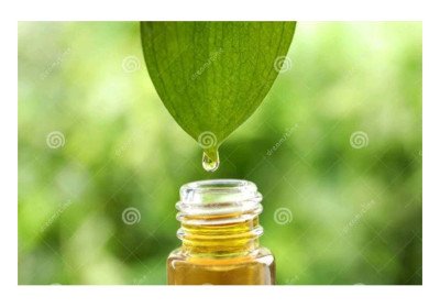 Cleanse Your Home Air with Essential Oils