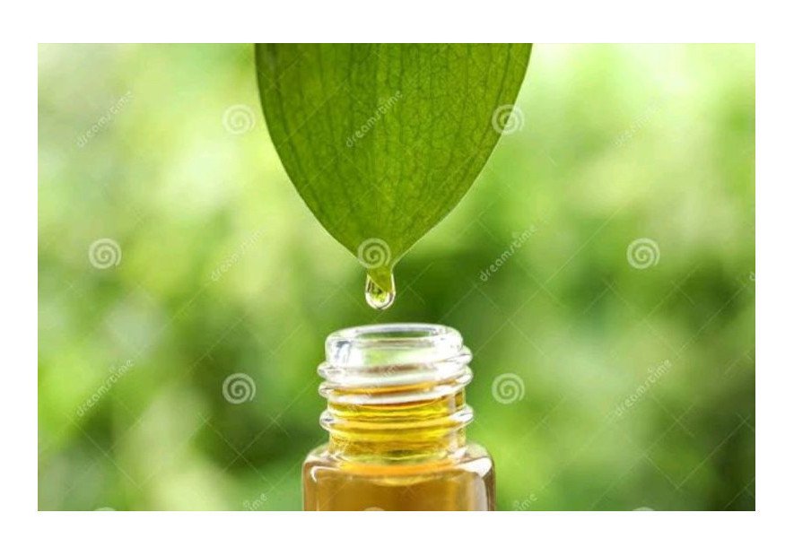 Cleanse Your Home Air with Essential Oils