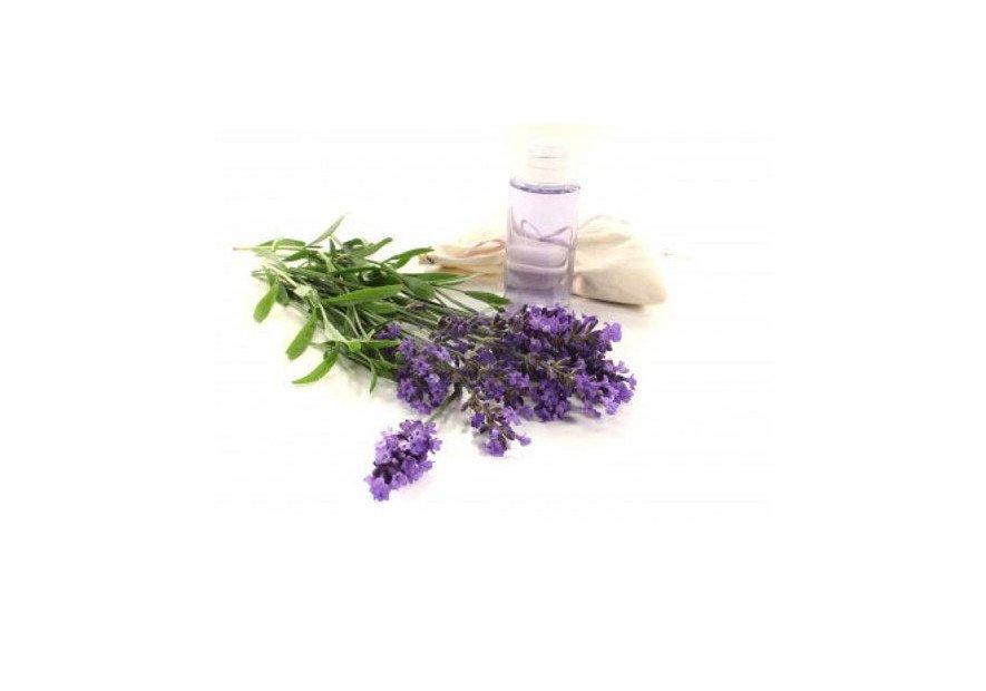 About Essential OIls